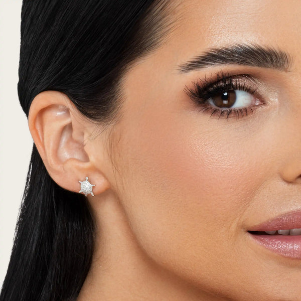 SREBRNE MINDJUŠE TURTLE